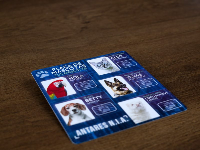 Detective: Signature Series – Petty Officers imagen 2