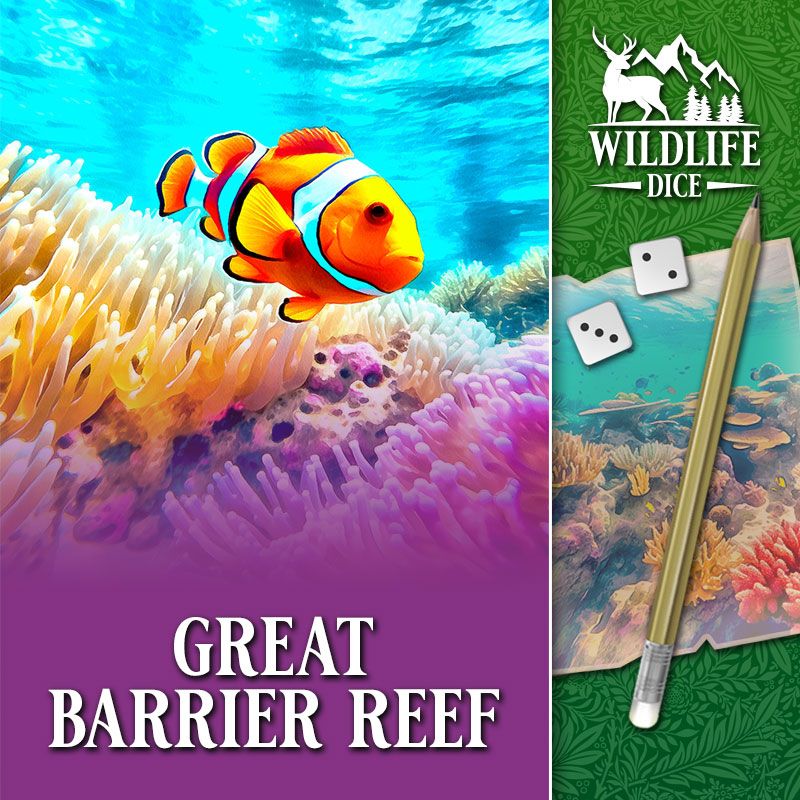 wildlife dice great barrier reef