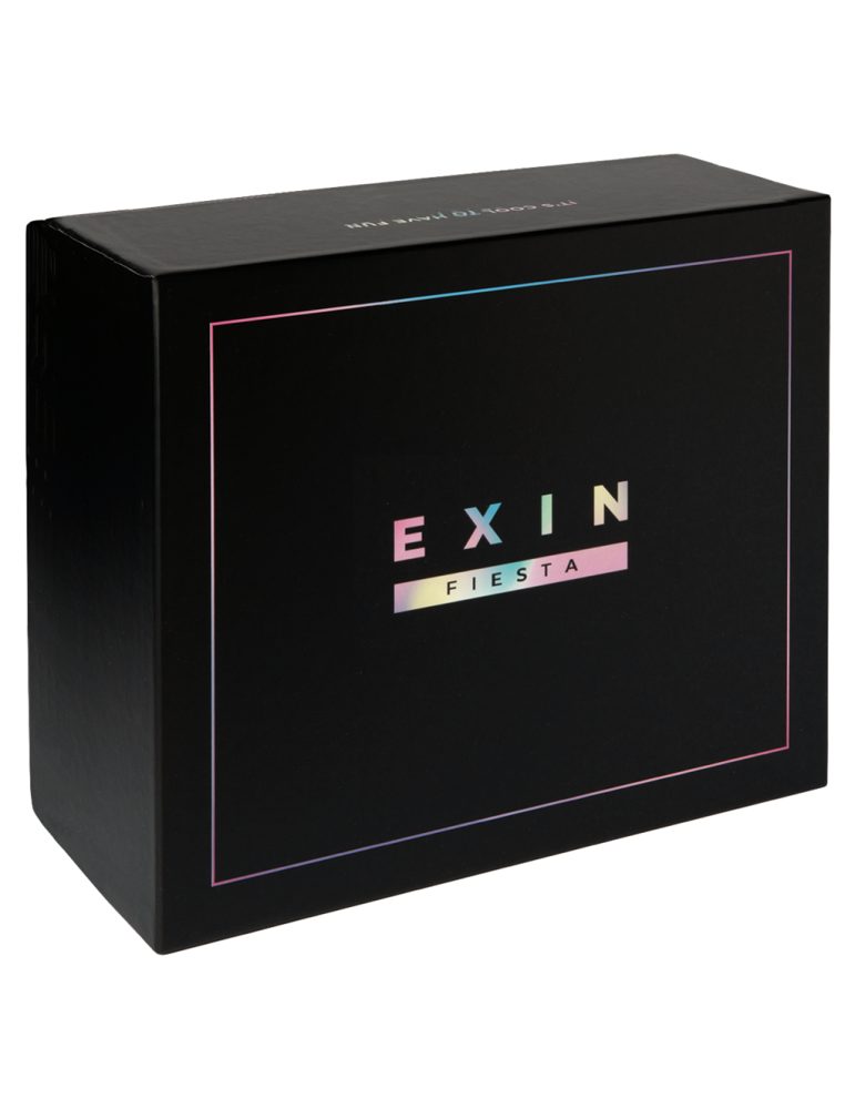 Teams by EXIN Fiesta