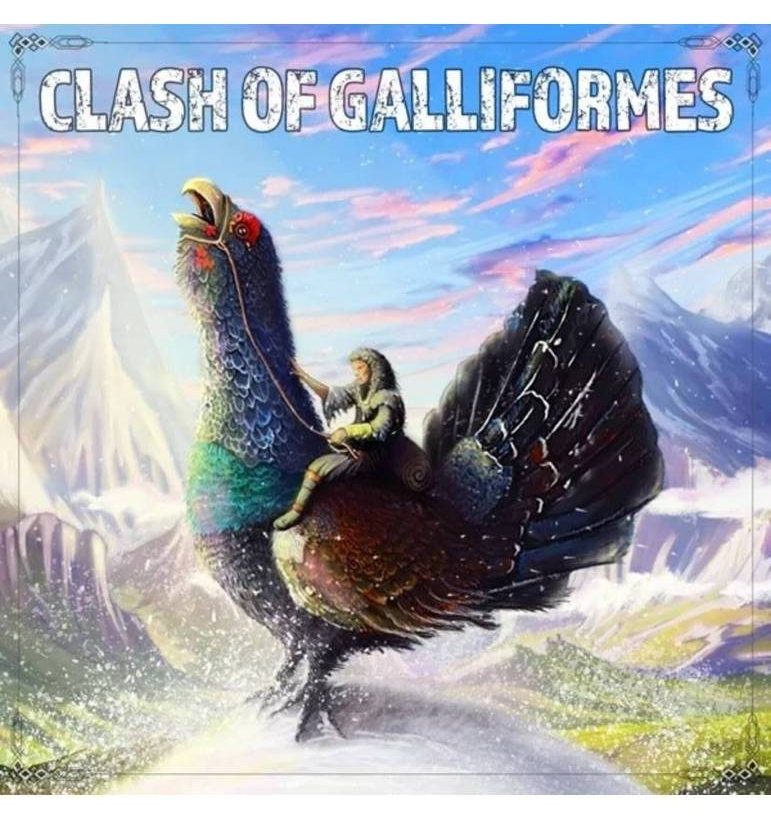 clash of galliformes