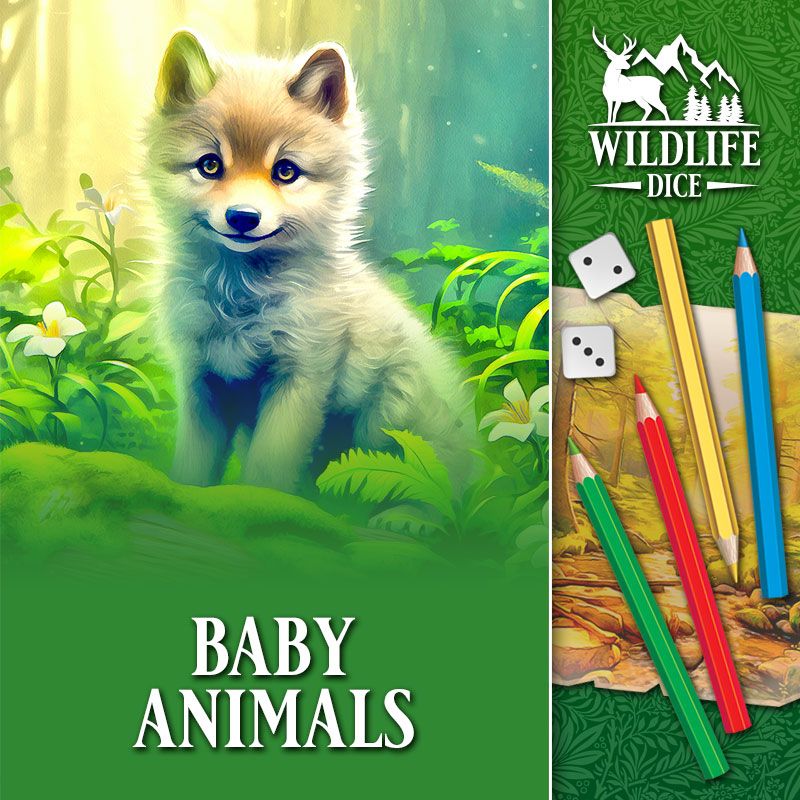 wildlife dice baby animals