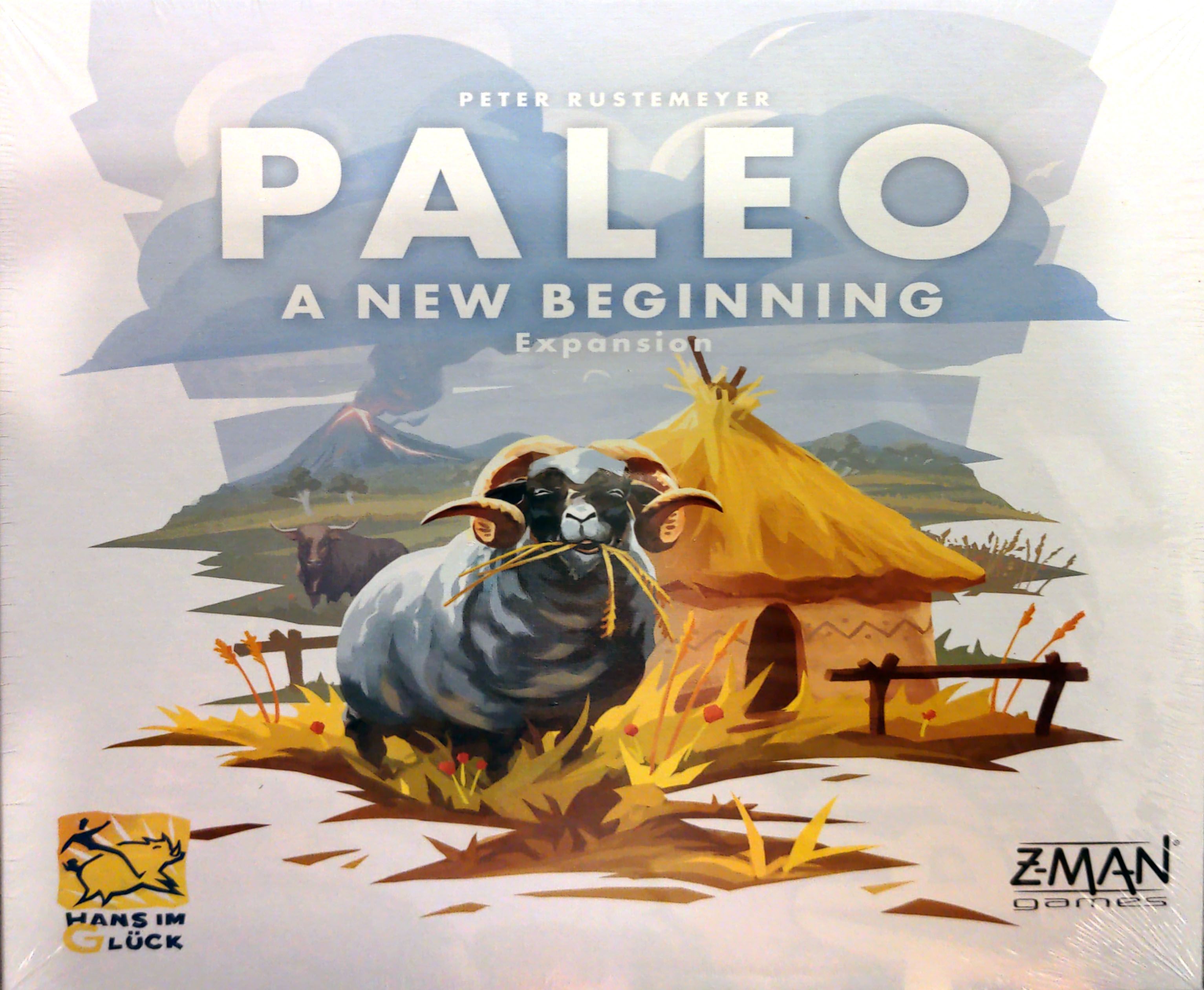 paleo new beginning
