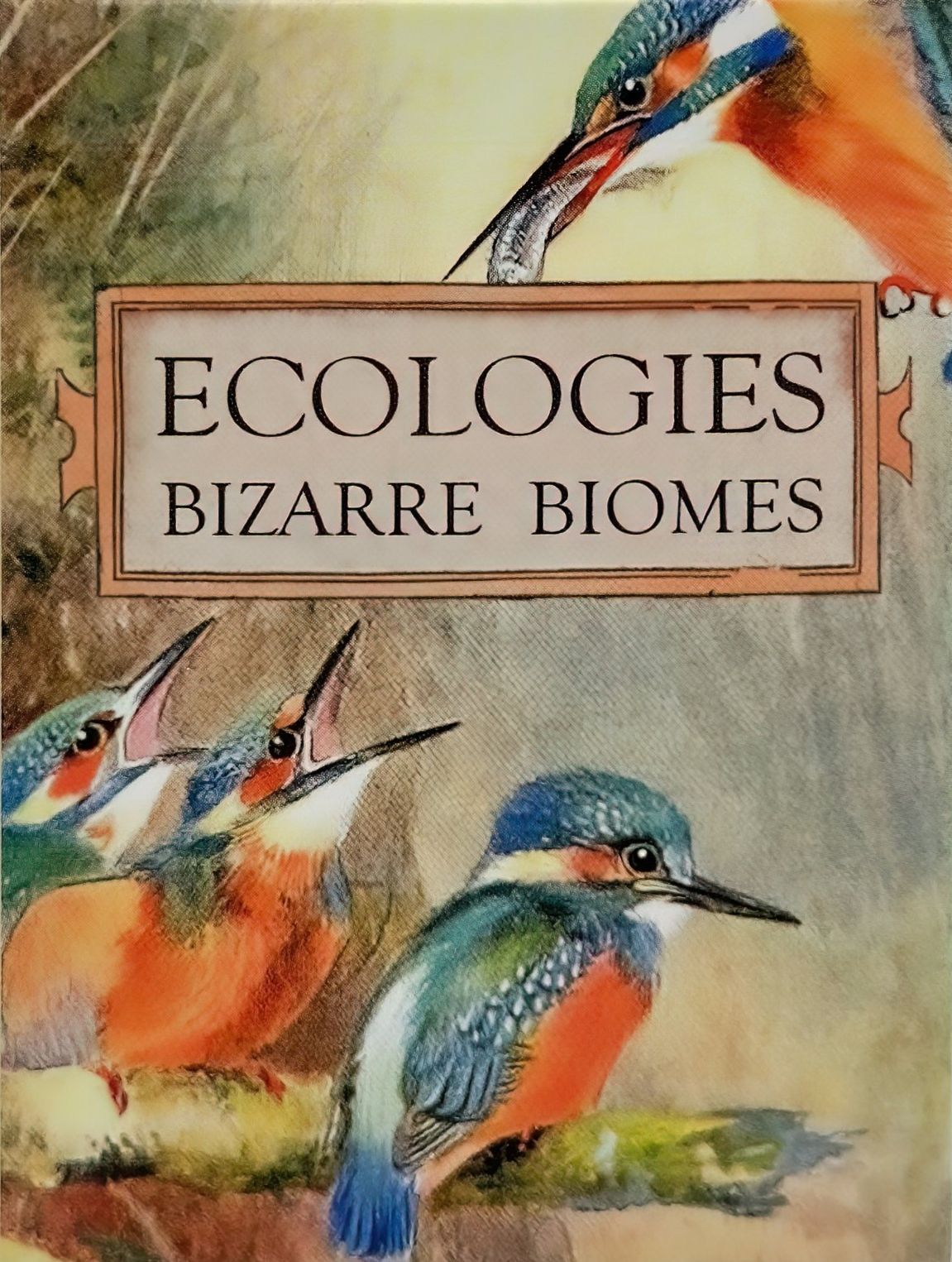 ecologies bizarre biomes