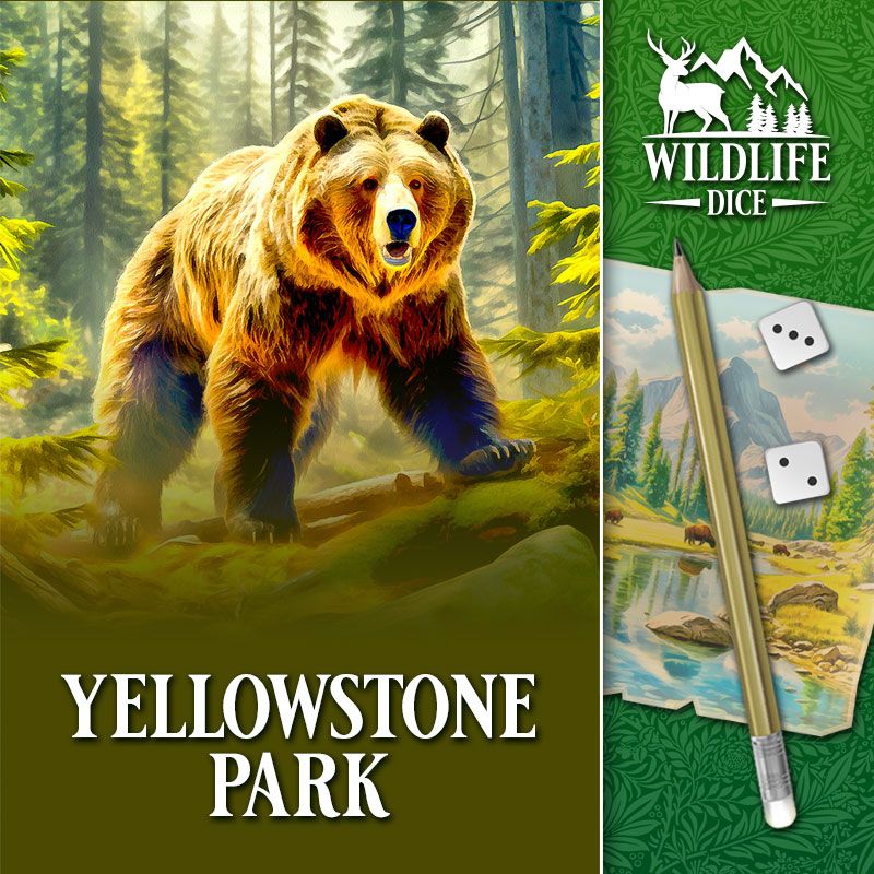 wildlife dice yellowstone park