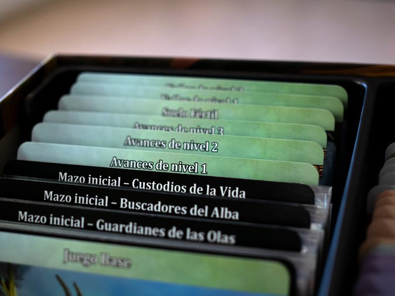 Mystic Vale Essential Edition imagen 3