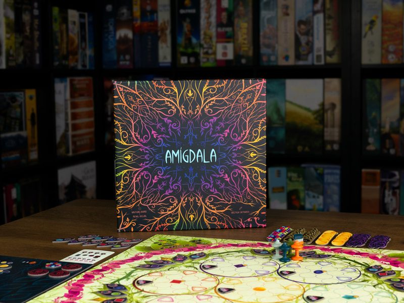 Amygdala