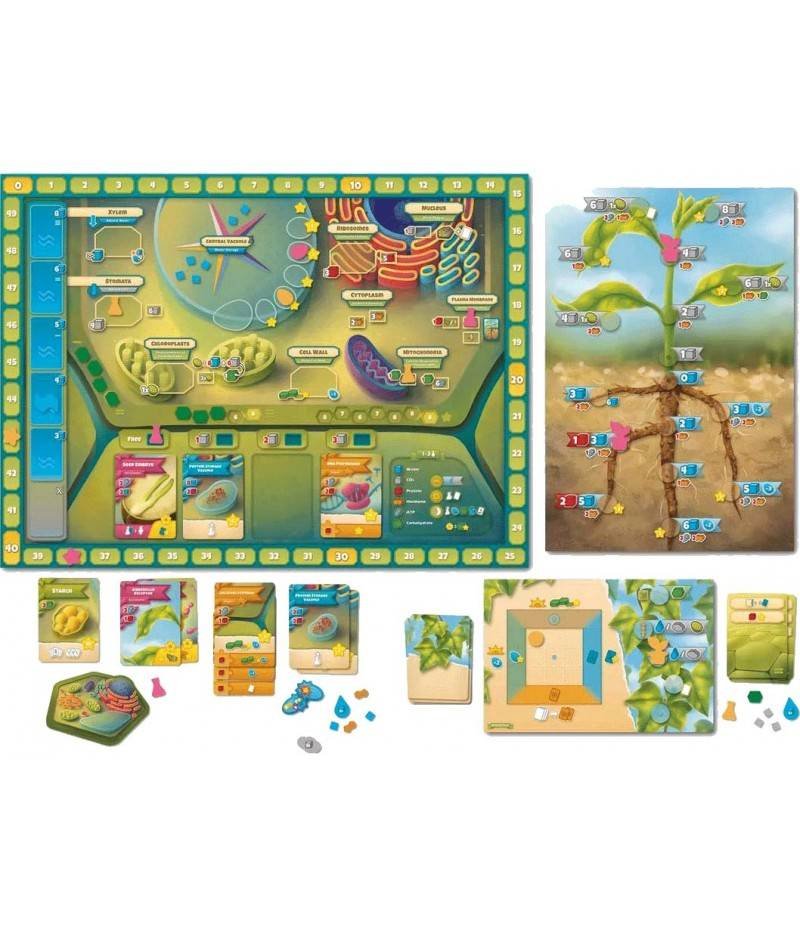 Cellulose: A Plant Cell Biology Game imagen 2