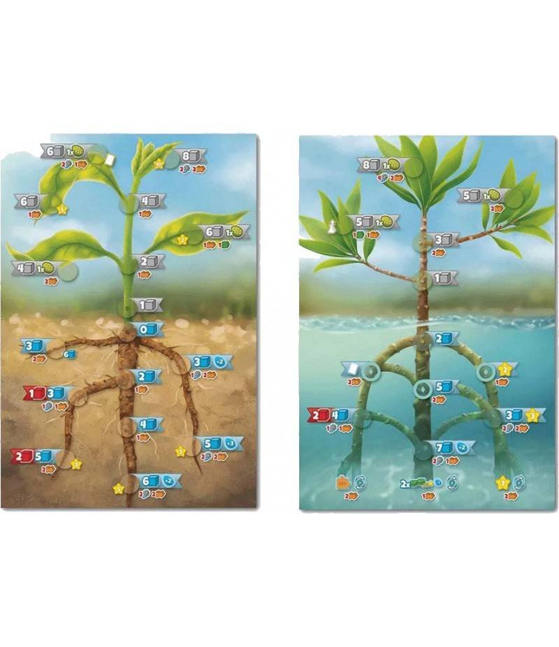 Cellulose: A Plant Cell Biology Game imagen 3