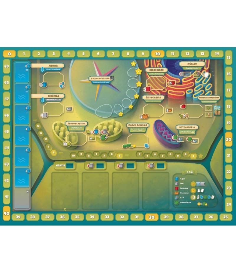 Cellulose: A Plant Cell Biology Game imagen 4