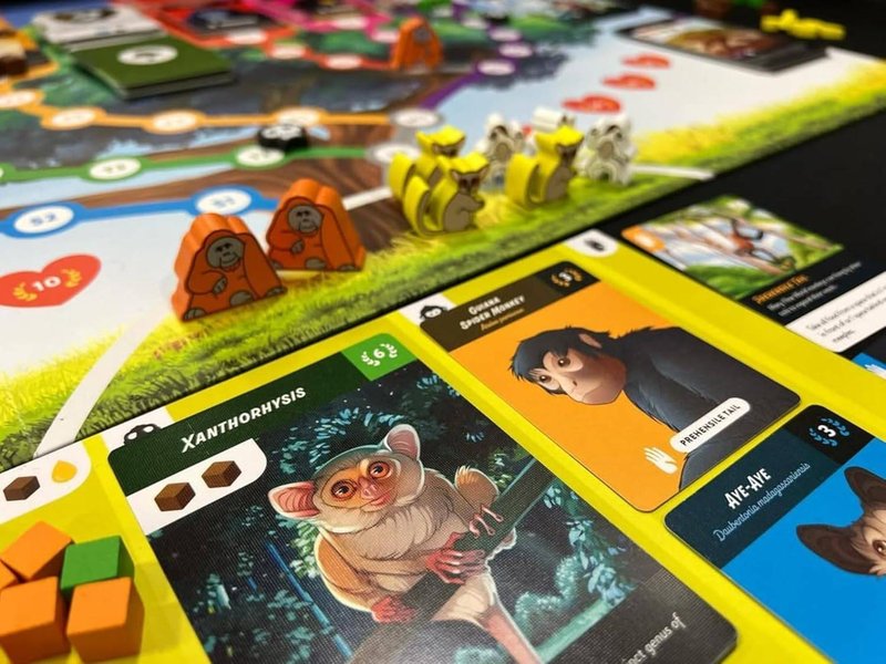 Primates imagen 4