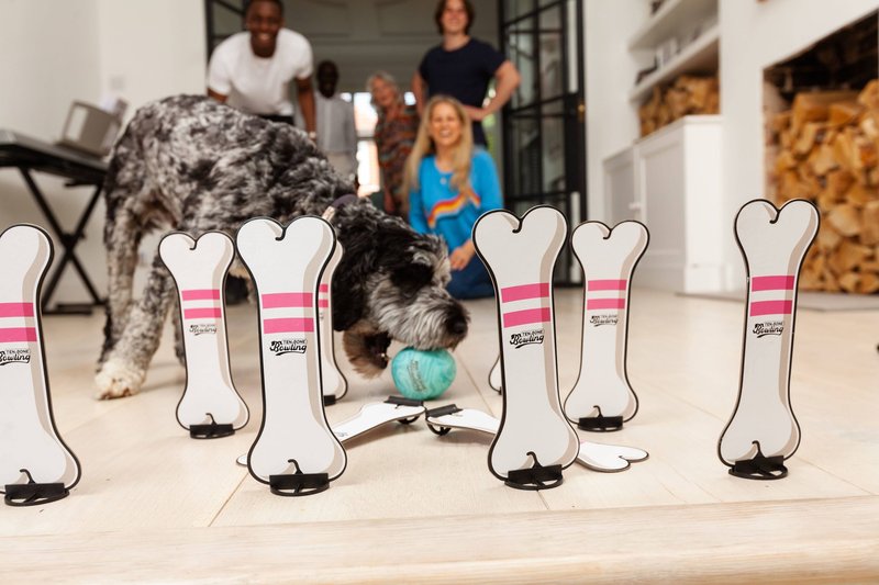 Ten-Bone Bowling imagen 3