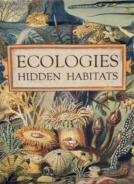 ecologies hidden habitats